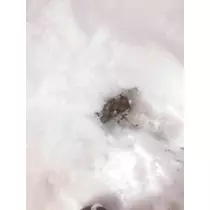 愛羽 仁美