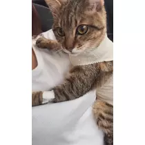 のぞみ