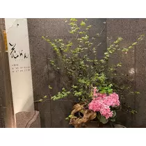 りな