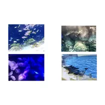 むつみ