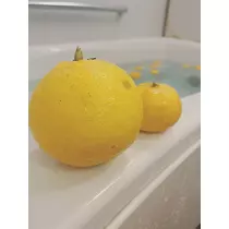 さくら