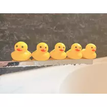 ぽめ・らにあん