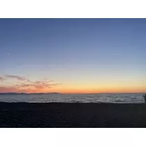 香川 ゆい