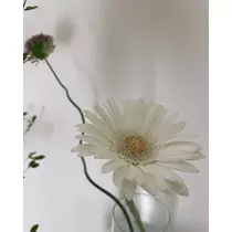 七海 結愛