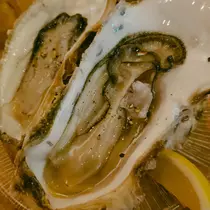 紫音
