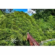 神崎　唯