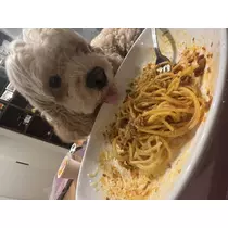 あおい