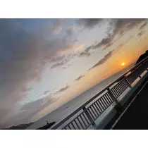 ハル