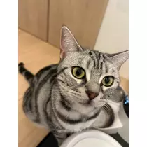 蒼 みらい