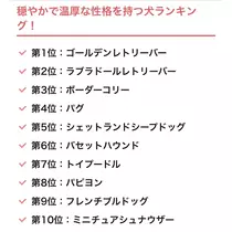 さくら