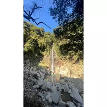 まい