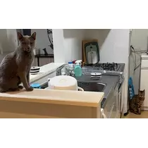 愛羽 仁美