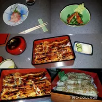 荒木 ナツミ