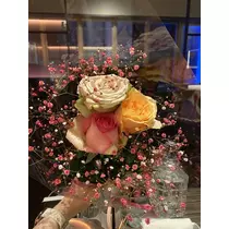 白石 愛莉