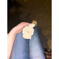 さつき