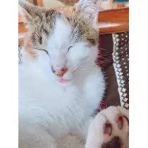 ミリア