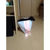 りえ
