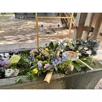 はるか