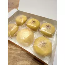 白石 愛莉
