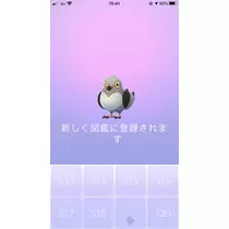 あみ