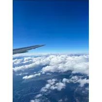空条 しいな