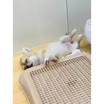 ゆかり