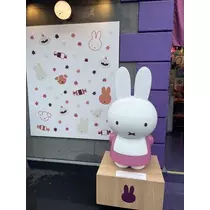 七星 夏純