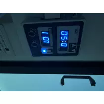せりな