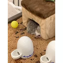 ちひろ