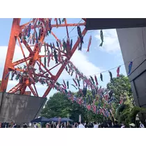 あみ