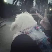 桃瀬 百華
