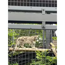 乙川 ゆあ