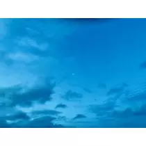 ゆかり