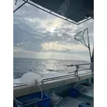 紬 むぎ