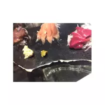 蓮見 リア