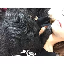 りょう