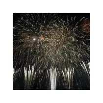 蓮見 リア