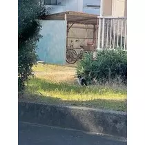 成海 まお