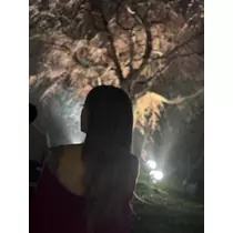 叶華