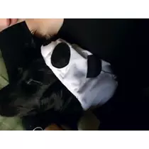 りえ