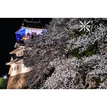 神崎　唯