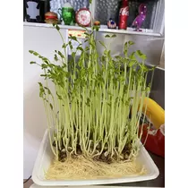 ちひろ