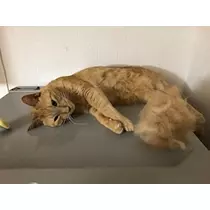 みな