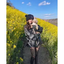 まい