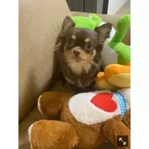 ありさ♡
