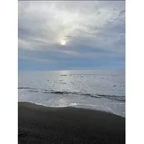 宝條 夏恋