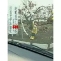 藤沢 のん