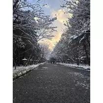 神崎 蘭