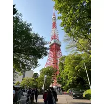 あみ