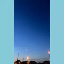 さつき